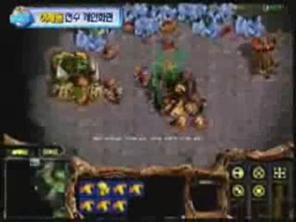 N_Die.Jaedong - Wings of Glory [partie 1]