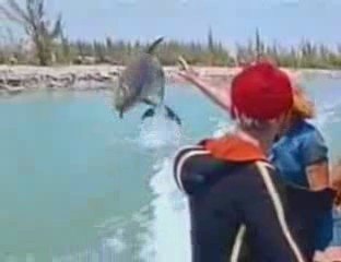 Appel à la révolte ! peuple endormi conspiration.blogs.fr