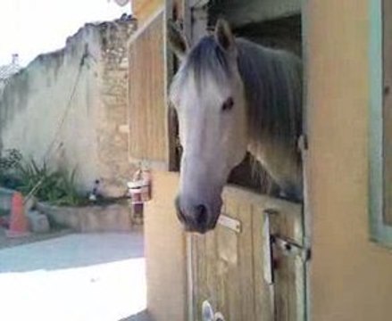 New Look, Clair D'etoile, Bonheur et Eclair