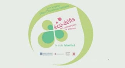 Eco-défis 2009