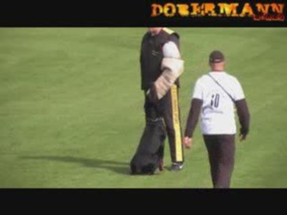 Princeton V. Weser-Ems