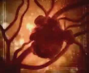 The Quit Smoking Right Now Guaranteed Program