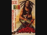 Live Bob Marley & The Wailers*Rastaman Vibration*Zimbabwe