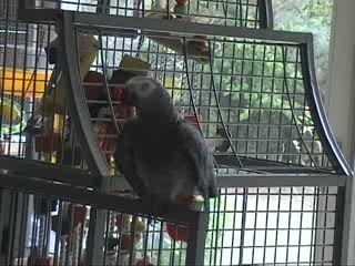 ça va ma tsukinette coucou