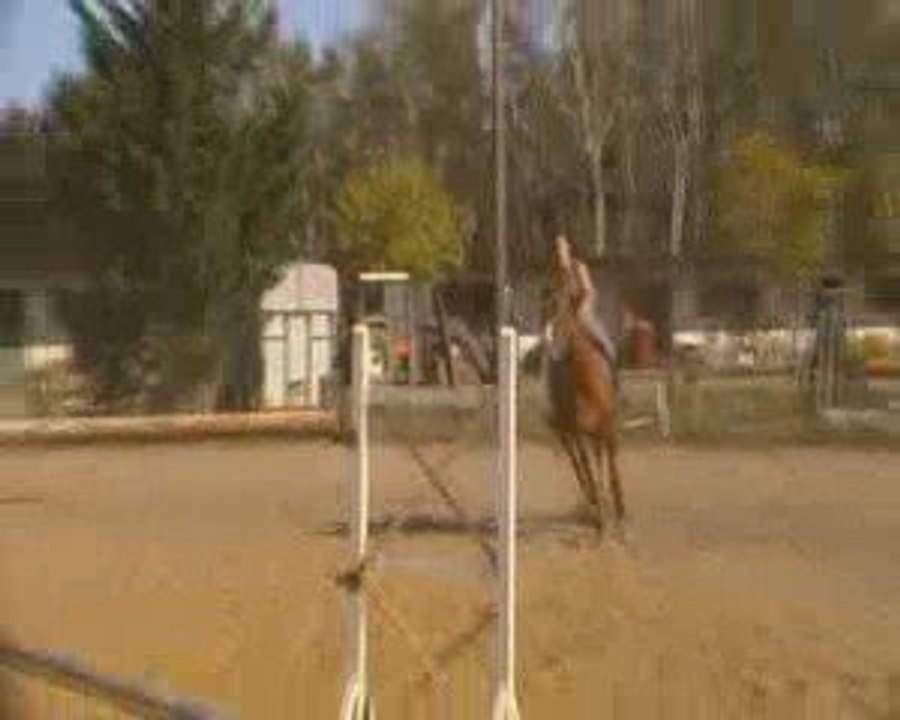 ocean sandrine vertical