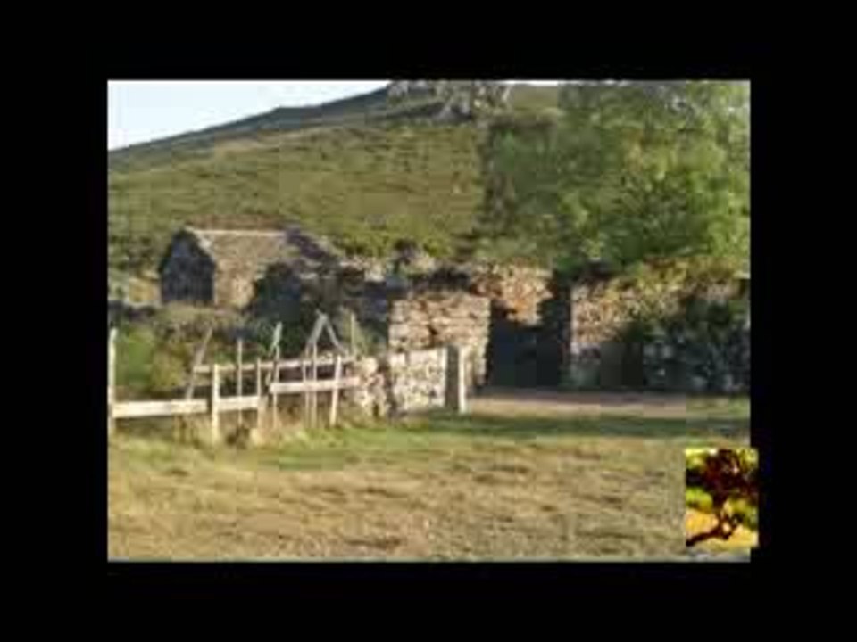 Camino Primitvo 2009