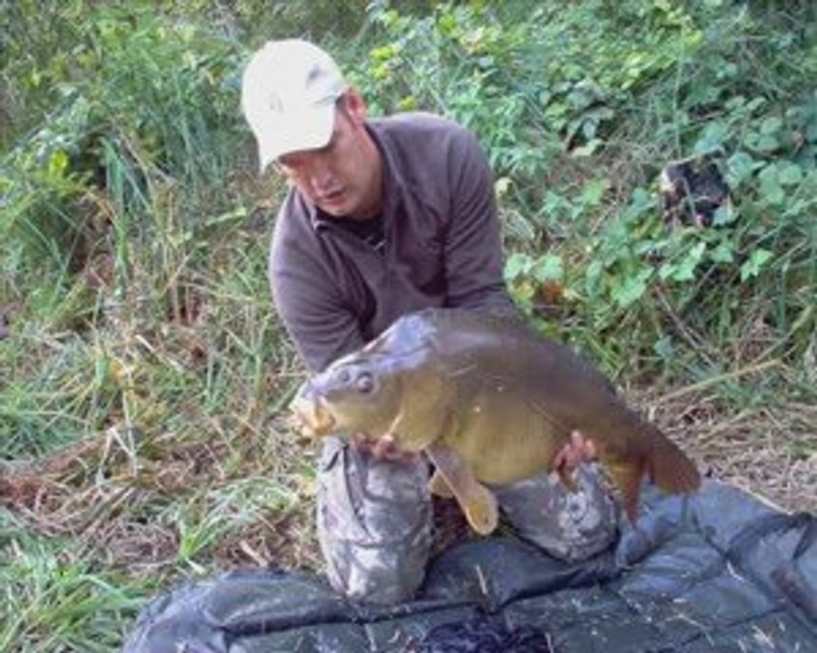 video-photo team B-F-M