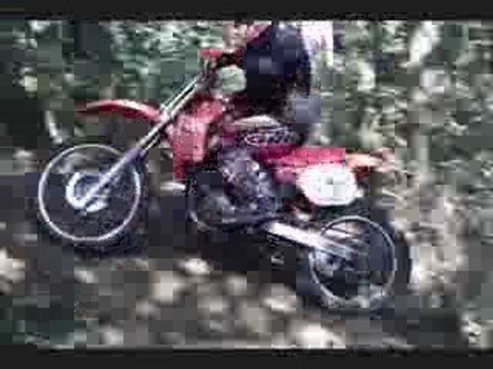 Magare septembre 2009