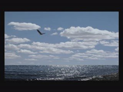 Jak ptak -Justyna i Piotr{ w mojej fotografii}