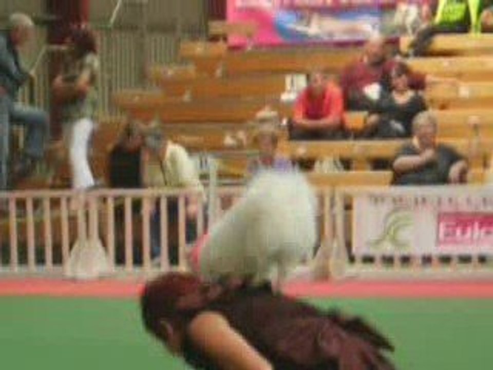 GPF d'Obérythmée Avignon