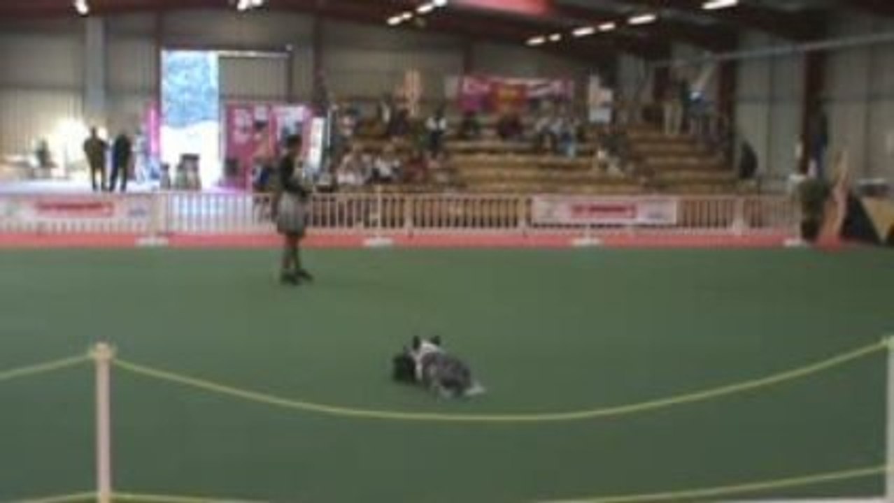 Artéïs, Grand Prix de France d'Obérythmée 2009, Avignon