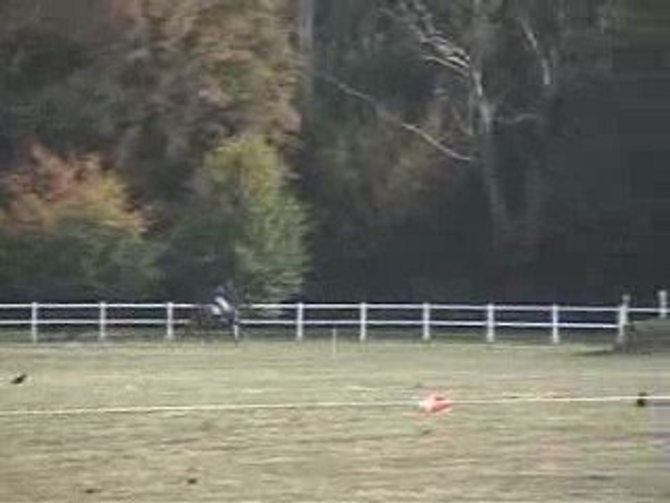 Eléonore et Cocktail - Jardy septembre 2009