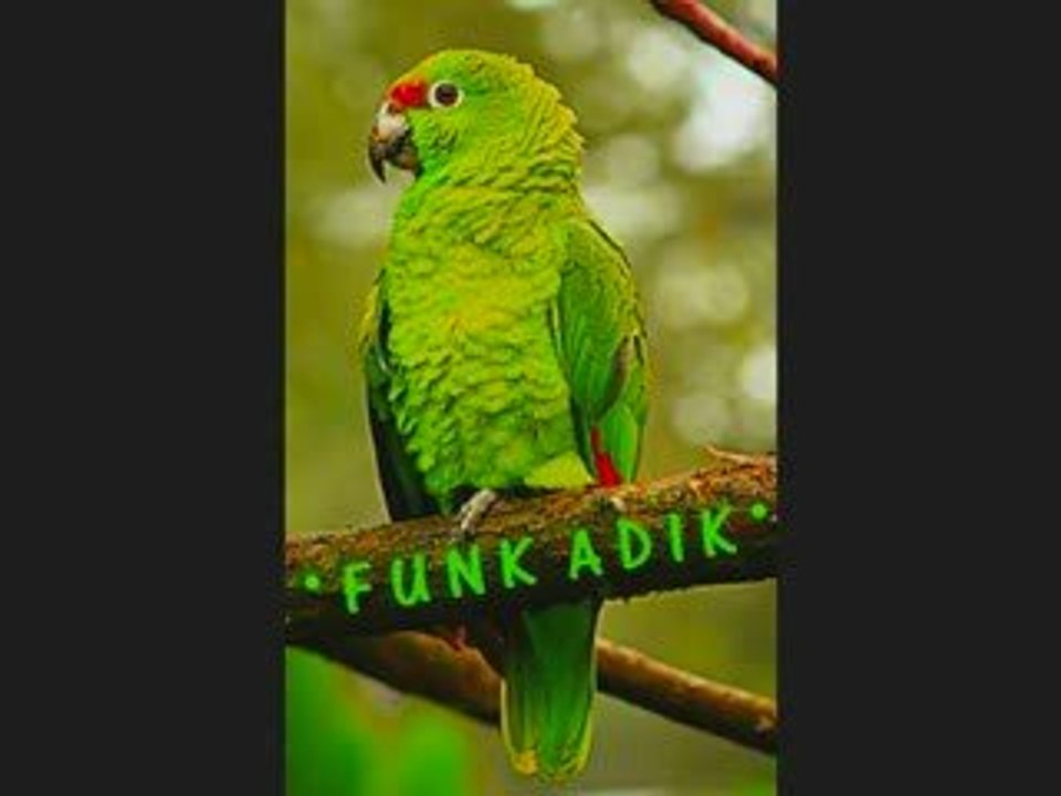 funk 69