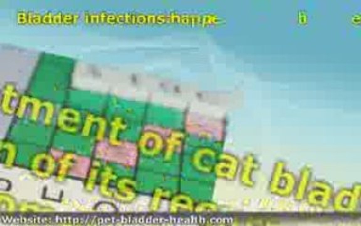 5 Ways to Treat Cat Bladder Infection at Home