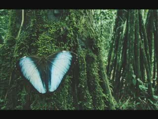 National Geographic Image Collection Book Trailer