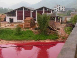 La moustache à papa