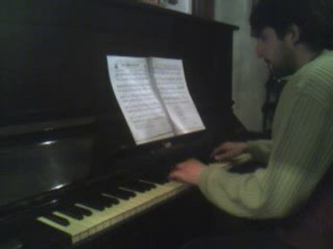 Les Fleurs Sauvages- R. Clayderman- En Piano-