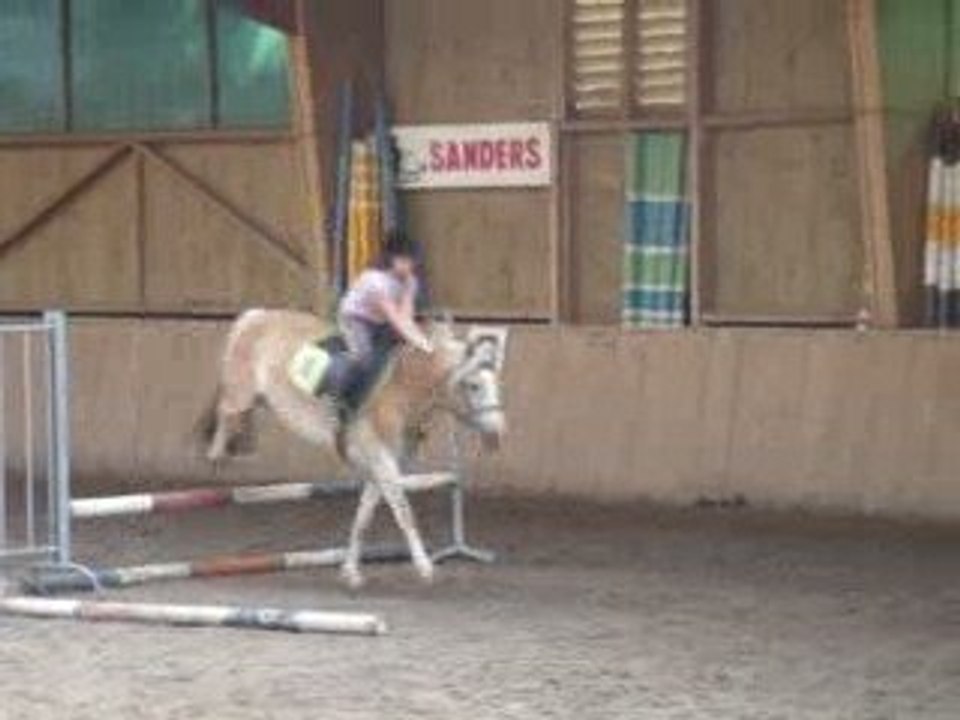 Saut d'Obstacle cours Galop 3/4 Mercredi 14h