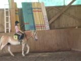 Cours d'Obstacle Galop 3/4