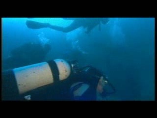 Docu Cousteau extrait 3