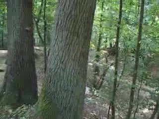 deux drops, deux riders