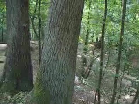 deux drops, deux riders