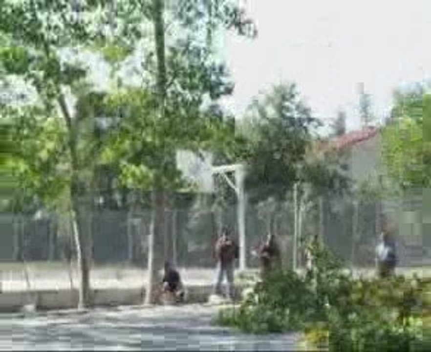 Elveda Kavaklar