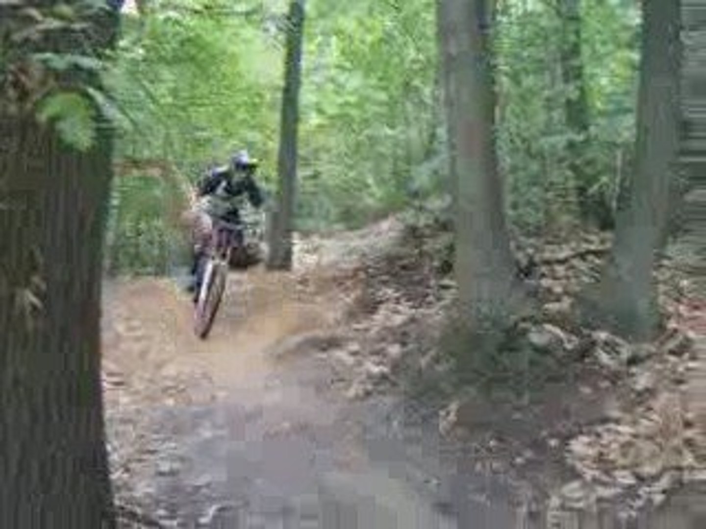 Franckie Race