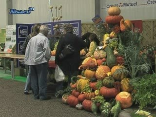 47ème Journées d'Octobre : Foire expo à Mulhouse