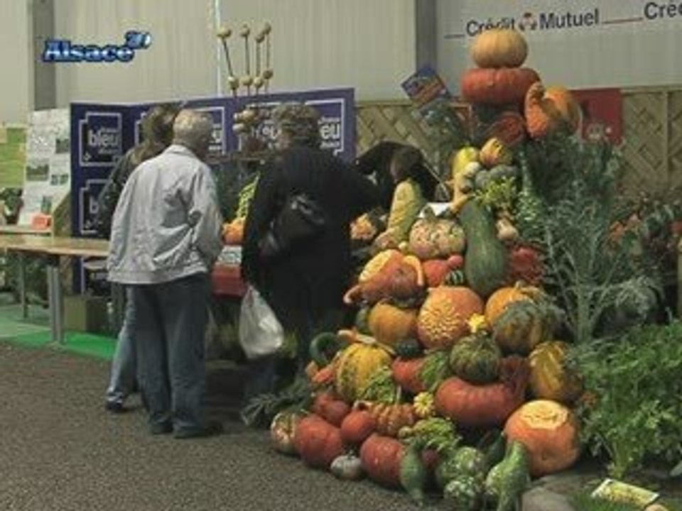 47ème Journées d'Octobre : Foire expo à Mulhouse