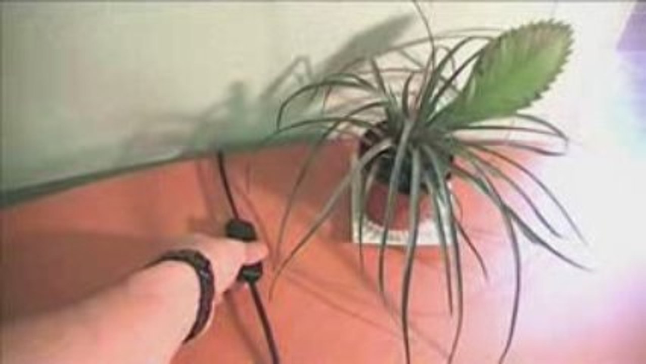 Diffuseur d'huiles essentielles BLACK PEARL