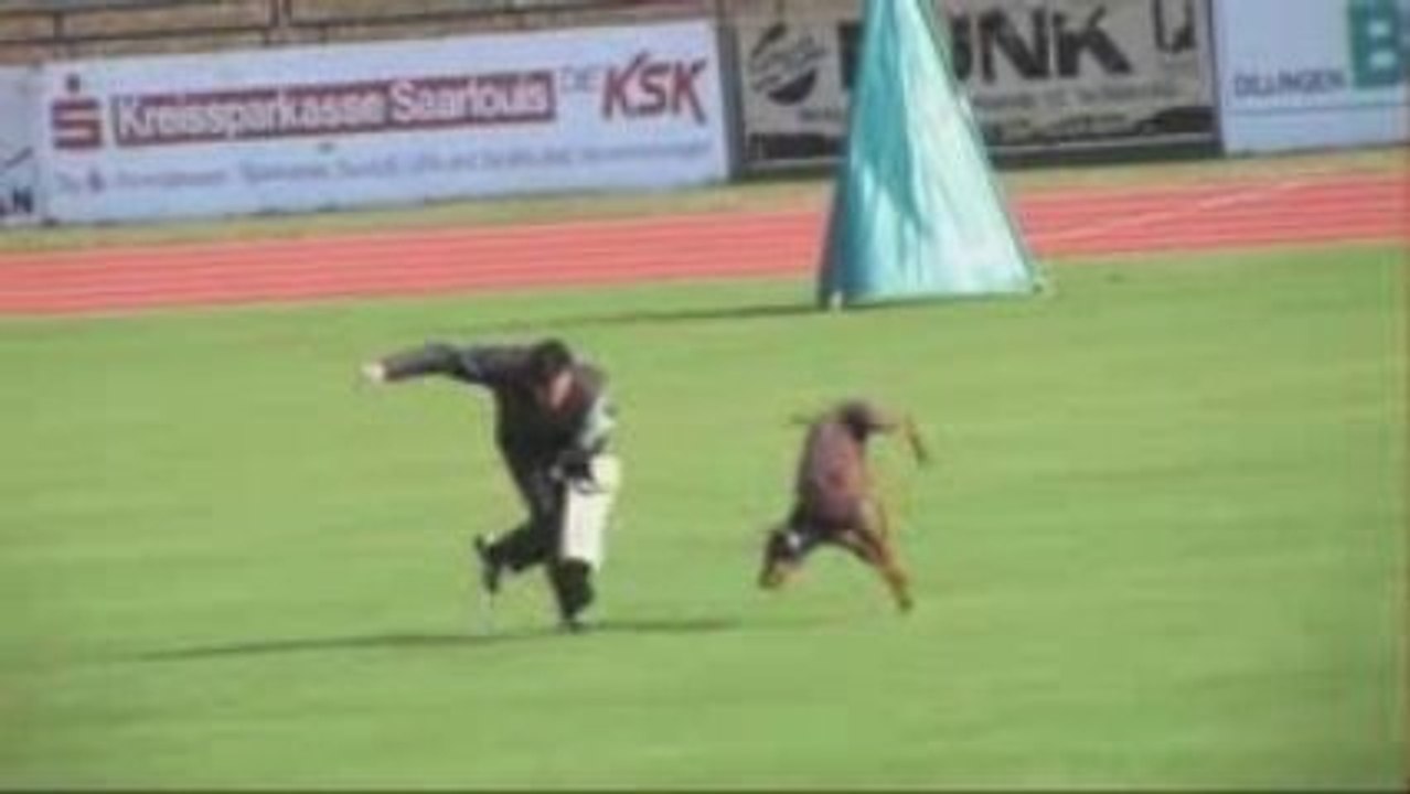 Betisier Dobermann VPG IPO Deutsche Meisterschaft 2009