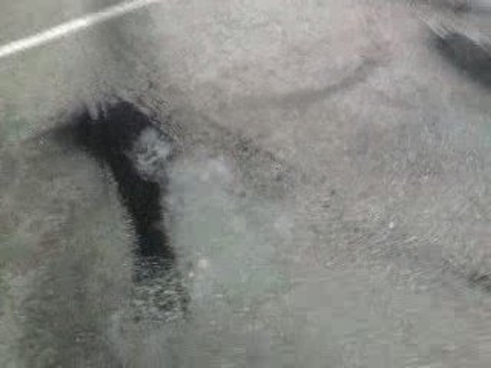 La fumè des pneu