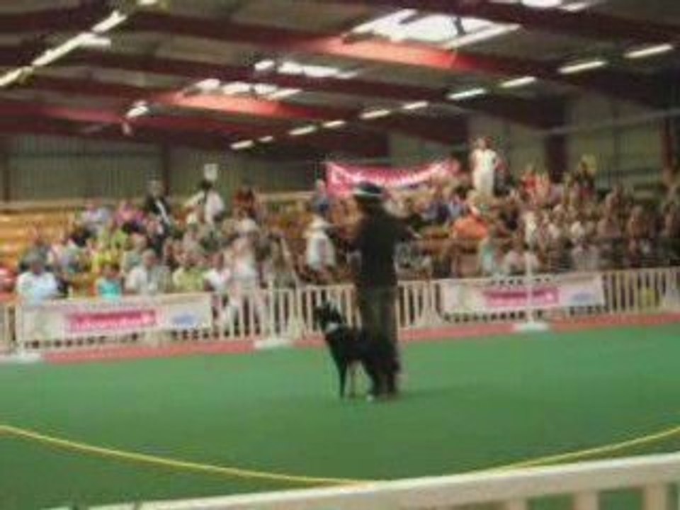 GPF d'Obérythmée Avignon