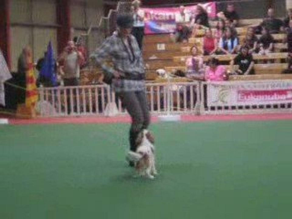 GPF d'Obérythmée Avignon