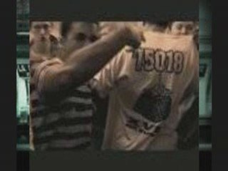 HUGO TSR CREW - jungle urbaine
