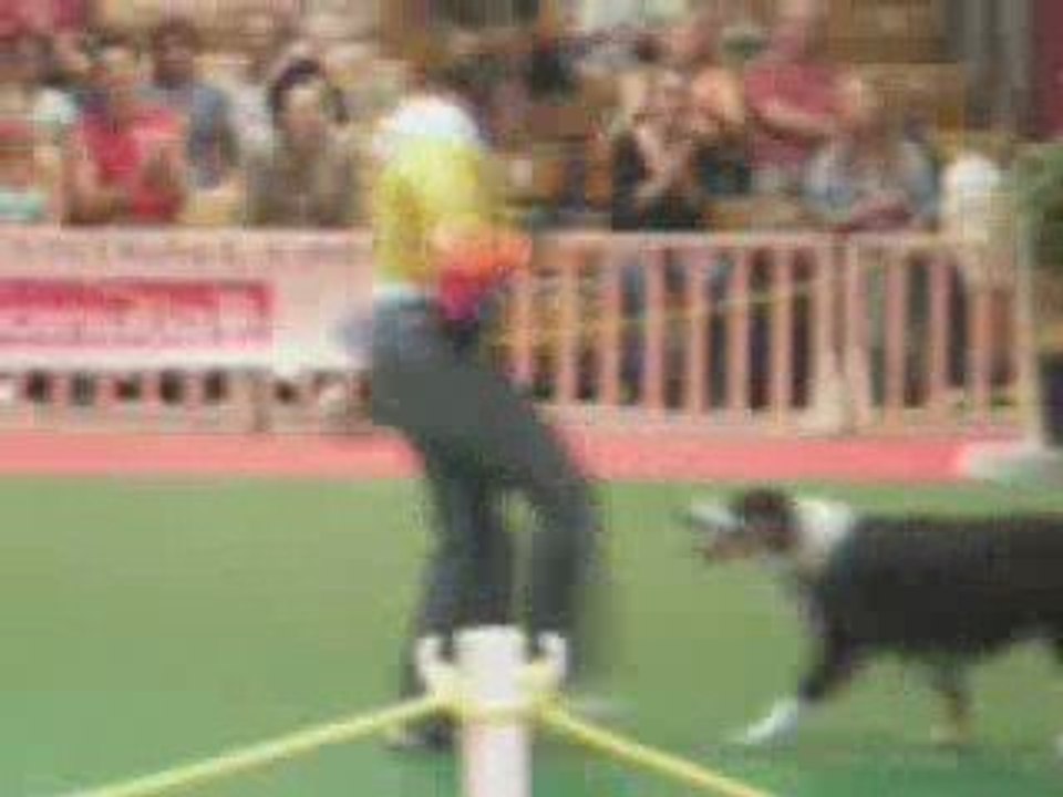 GPF d'Obérythmée Avignon