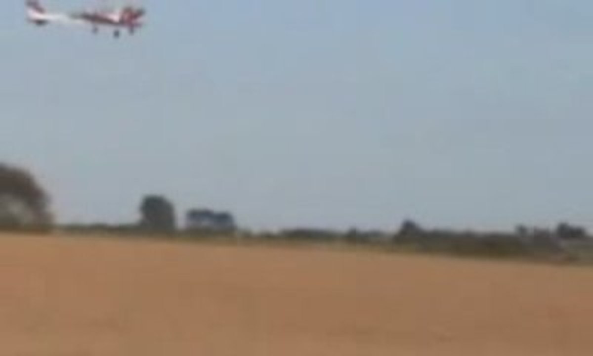 tiger 40