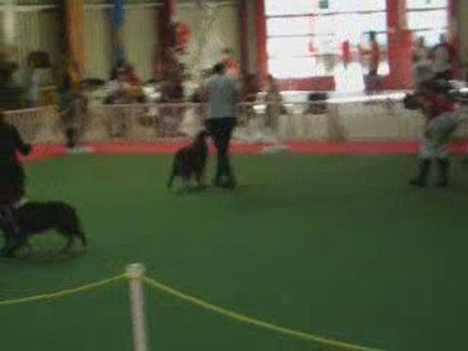 GPF d'Obérythmée Avignon