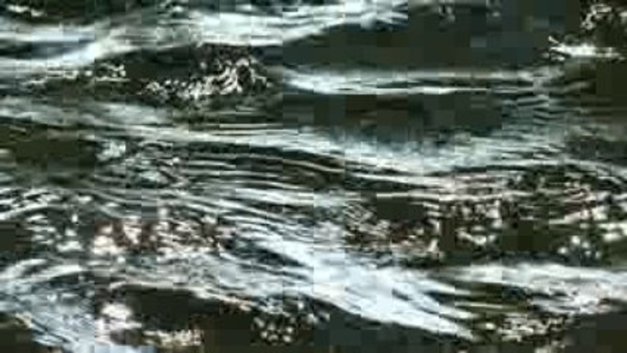 Water pure and simple