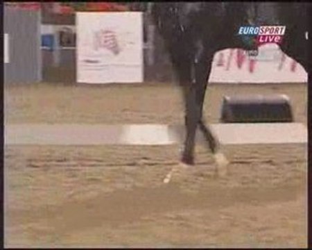 Edward Gal Moorlands Totilas Kür 90.750%