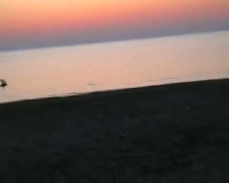 Samsun incesu YALI Mahallesi