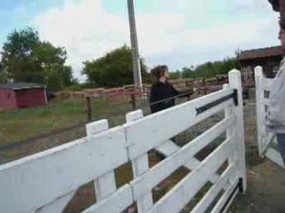 Arrivée à la maison