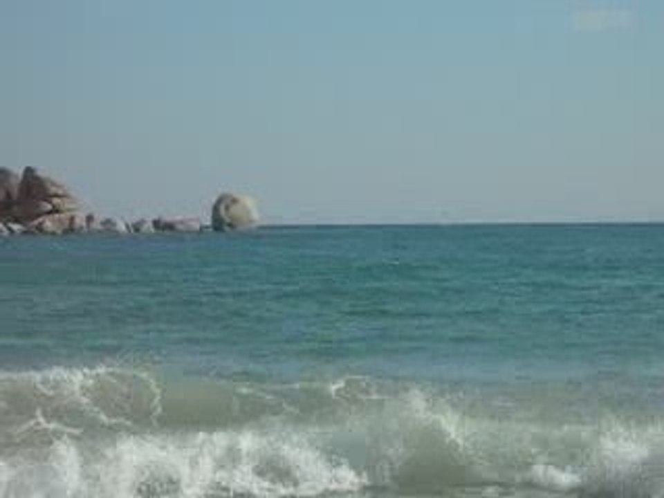 Corse