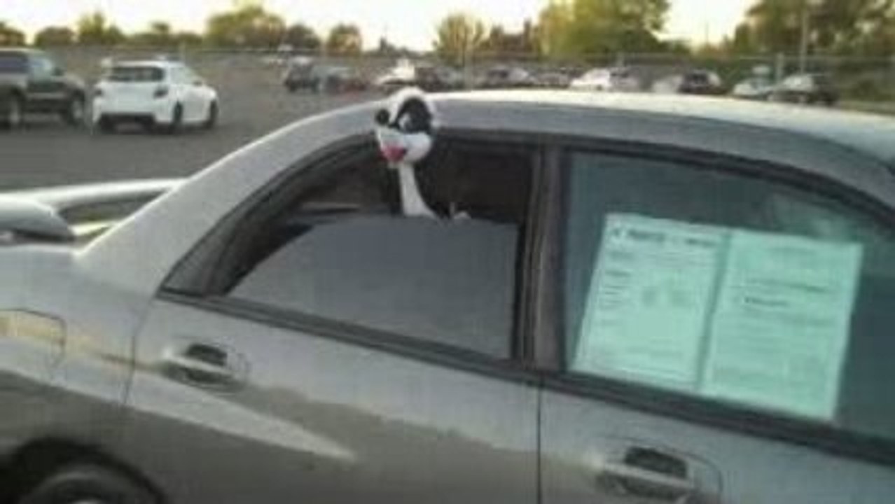 Used Subaru Impreza Sedan Roseville Davis Fairfield Tahoe