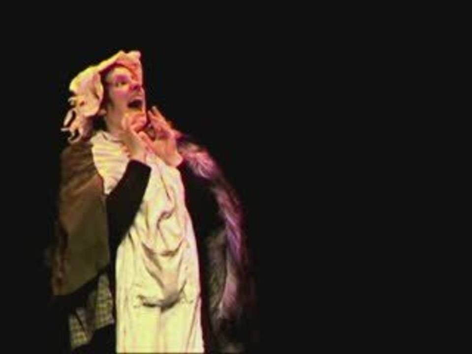 LES Z HISTOIRES DU CHAPERON ROUGE