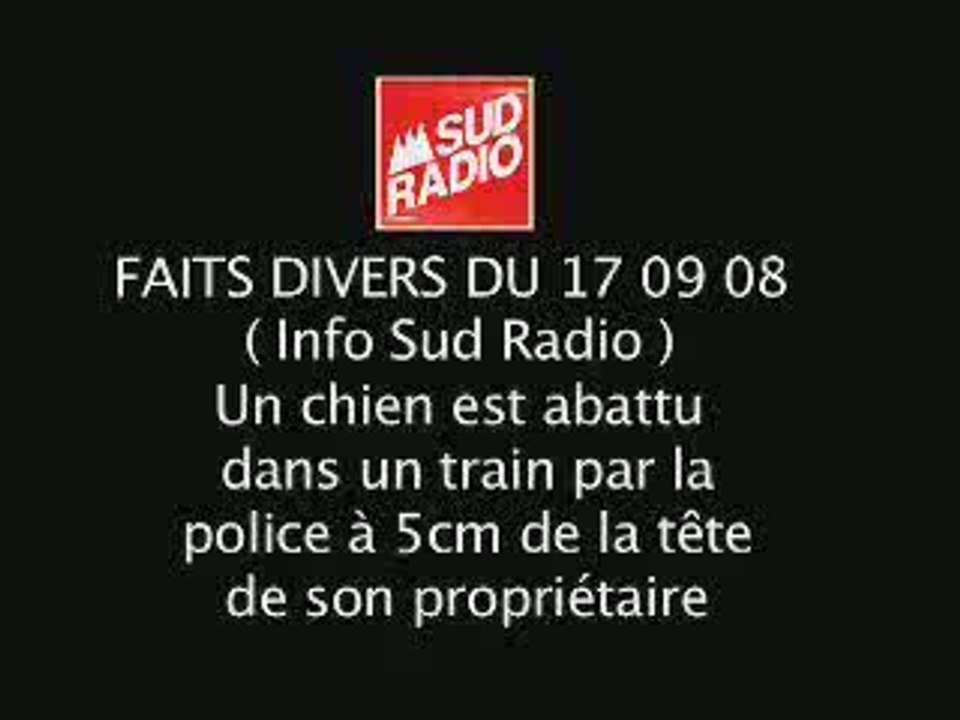 Un chien abattu par la police dans un train 17 09 08