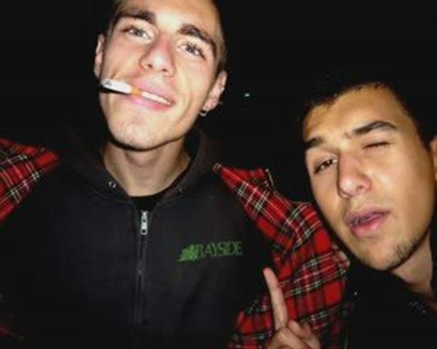 les papillons butinent les coquelicots