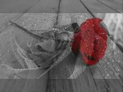 Ercan Demirel Elveda Deme Bana by GonulAdami