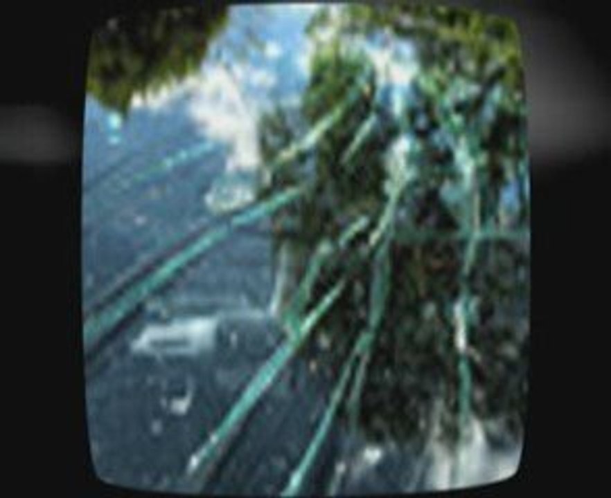 Sedalia NC Auto Glass Repair and Windshield Replacement